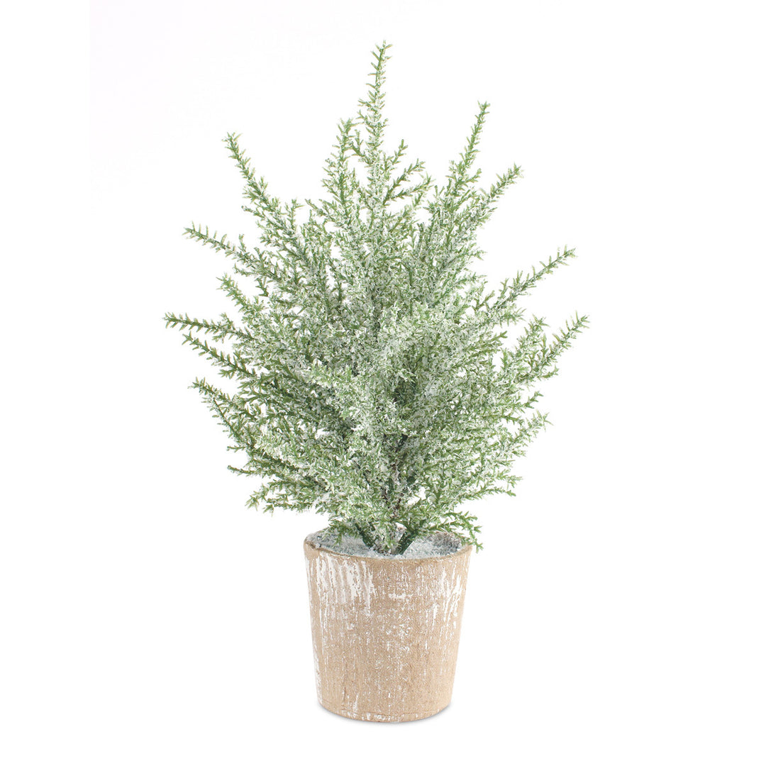 Frosted Holiday Pine Tree in Paper Pot (Set of 6)
