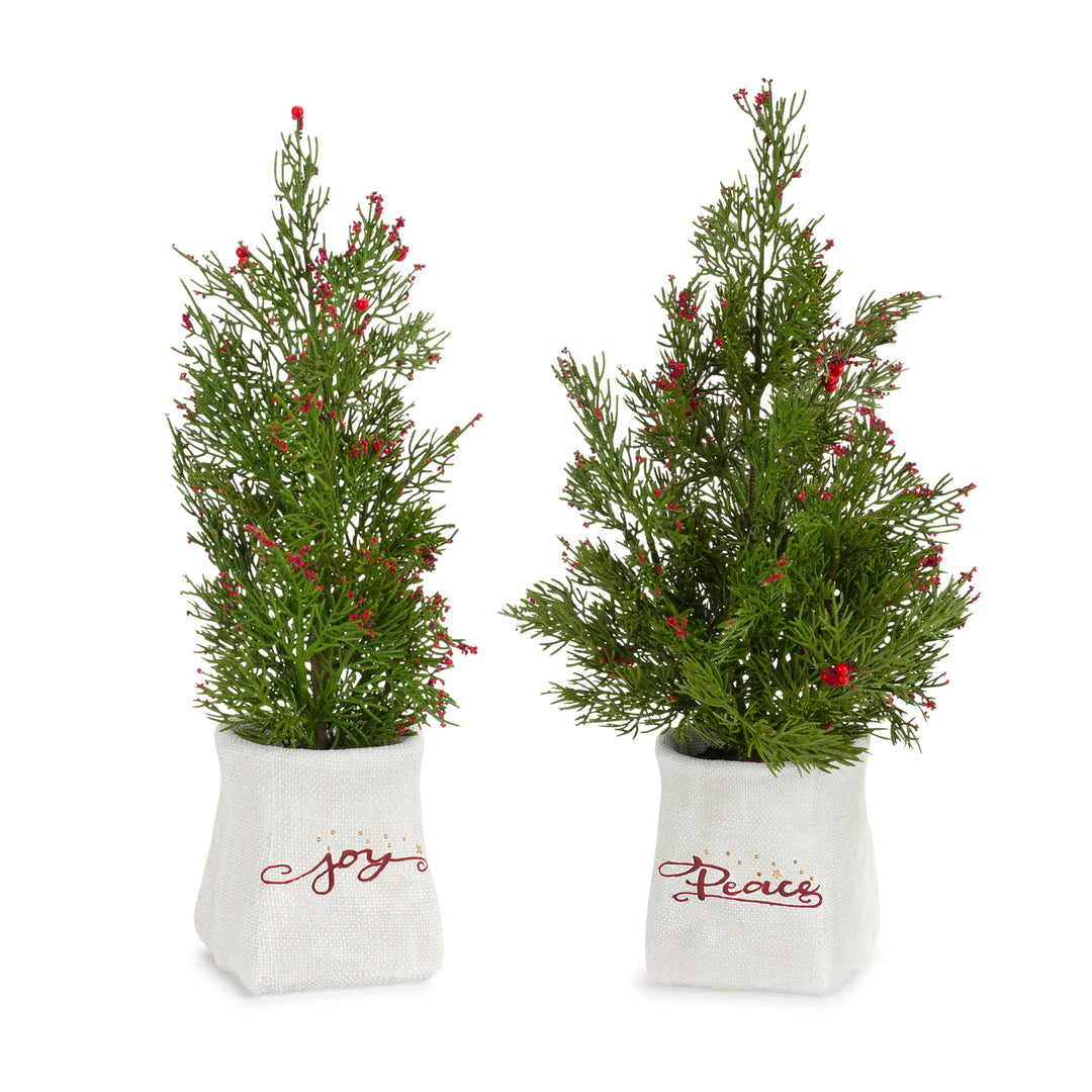Mini Pine Trees with Berries In Ceramic Pots (Set of 2)